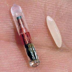 tiny RFID chip