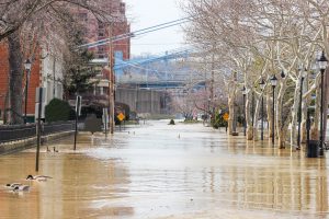 flooding in a town