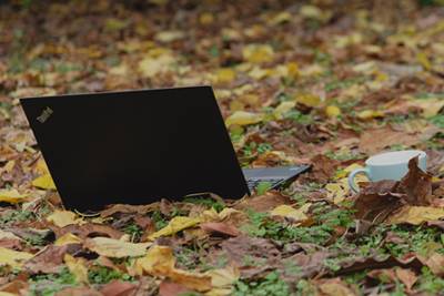 A laptop sits in a pile of autumn leaves next to a white coffee cup.